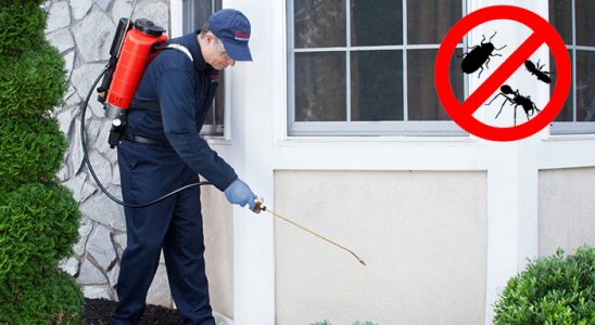 Bağcılar Gümüşkurt İlaçlama böcek ilaçlama ve haşere kontrolü — ilaclama-tr.com